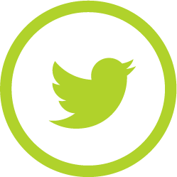 twitter logo green