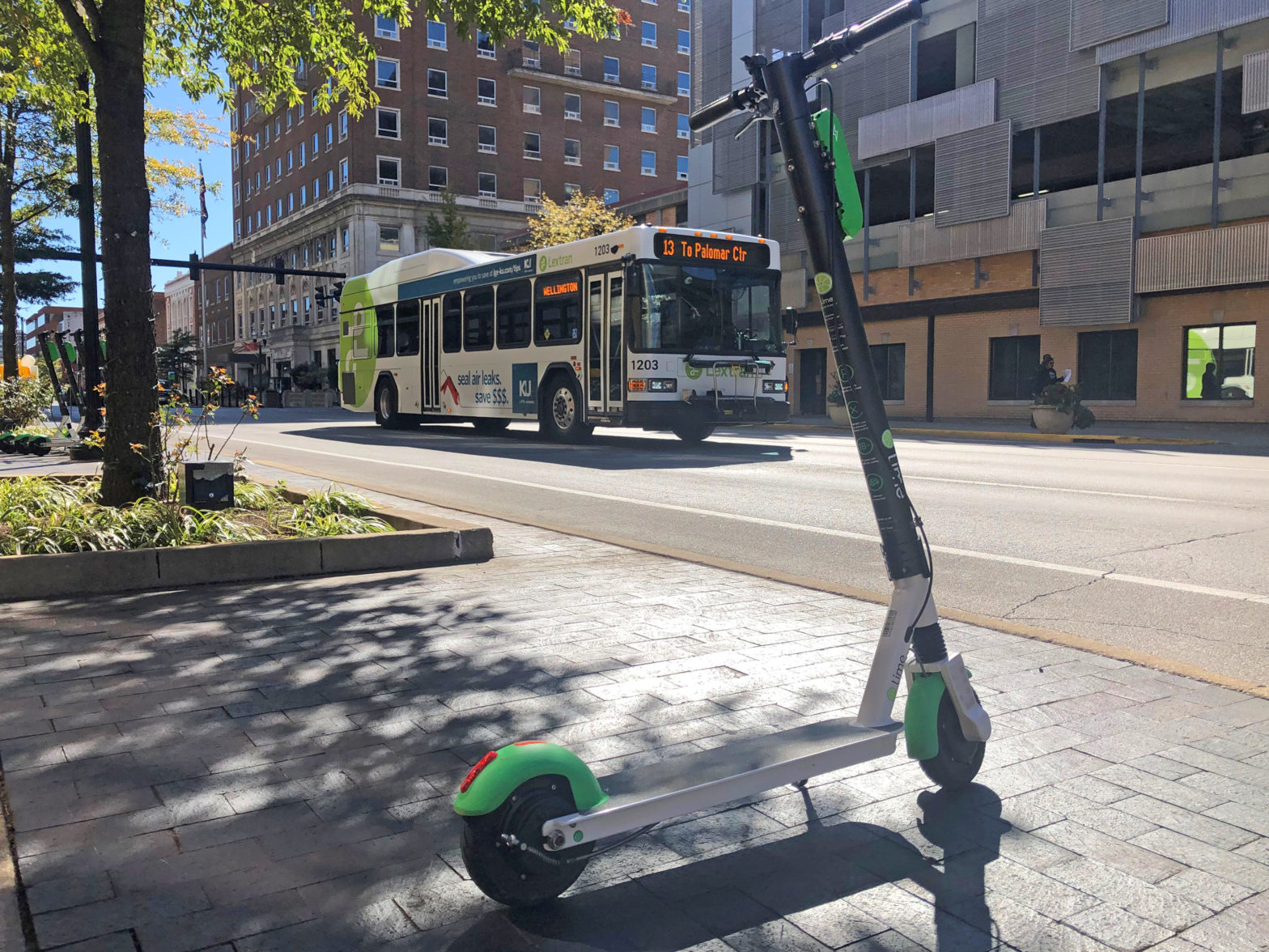 Bus street scooter